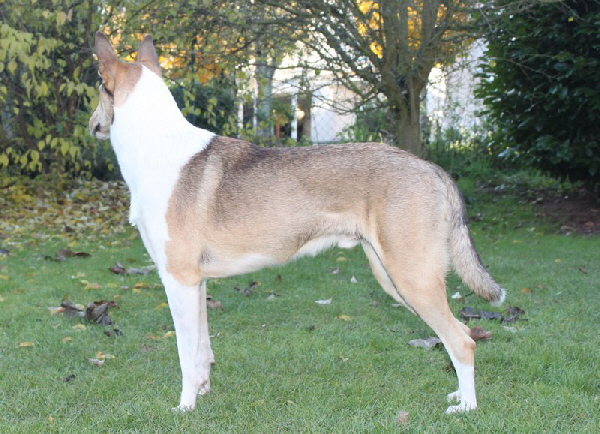 Lara Ostern Lara Ostern