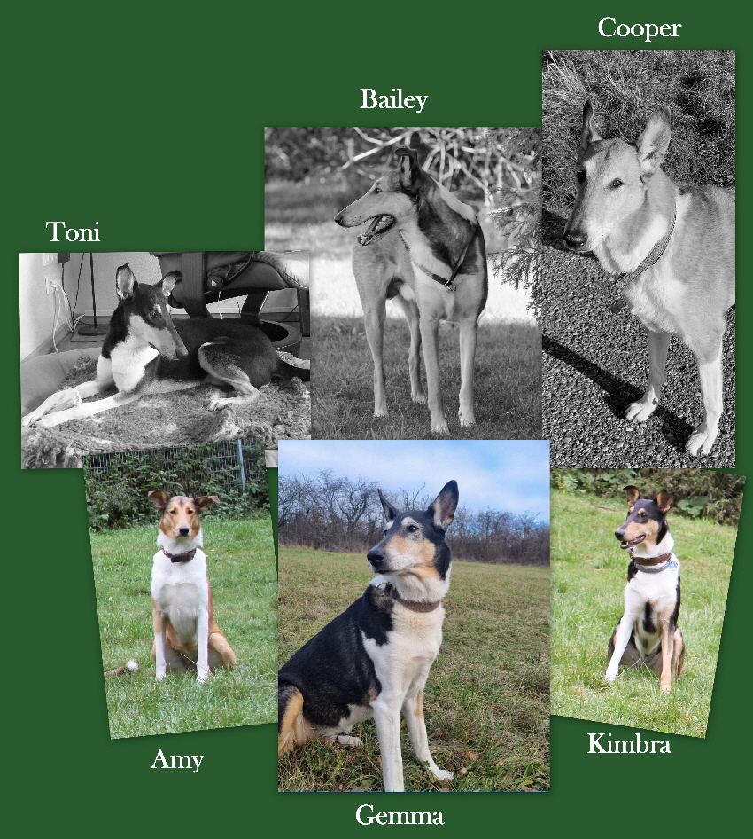 14. Geburtstag C-Wurf