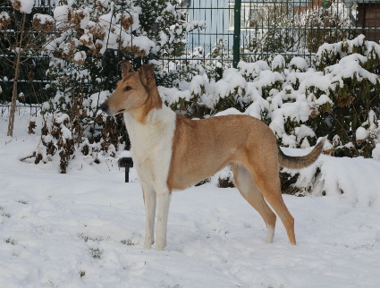 IMG_1075 1 IMG_1075 1