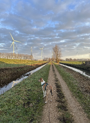 noch ist die Bar ge�ffnet