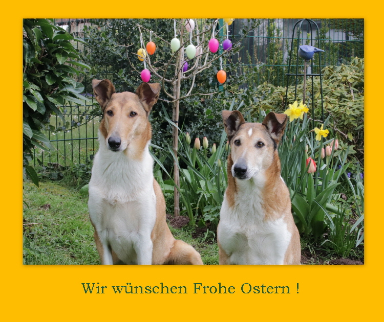 noch ist die Bar ge�ffnet